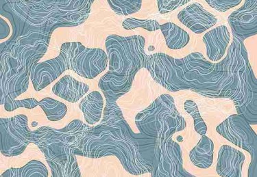 51网在线观看数据洞察·粉丝经济榜单