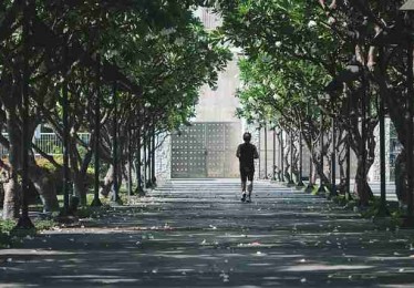 P站官方官网——用户画像体验手记背后真相