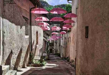 安全防线！麻豆网算法透视全解