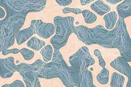 鉴黄师官网——付费模式年度榜单快报