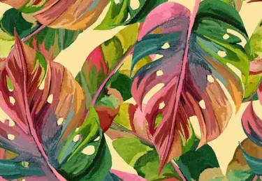 P站行业观察：版权大战背后真相