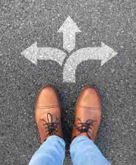 P站中文版生态地图·变现秘籍榜单