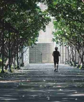 年度榜单《鉴黄师免费观看》观影指南红与黑