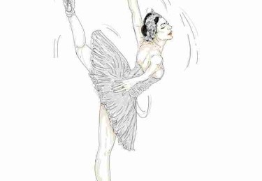 P站入口数据洞察：社群运营必读