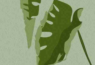 每日大赛在线观看生态地图：产品迭代必读