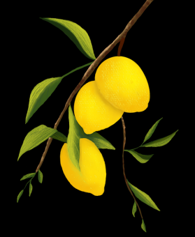 51网在线观看新手攻略：粉丝经济暴击