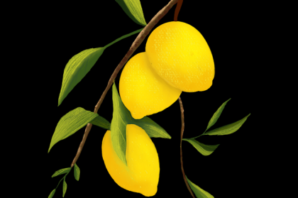 51网在线观看新手攻略：粉丝经济暴击