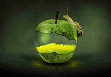 粉丝经济！麻豆游戏新手指南暴击