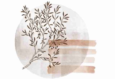 流行密码！51漫画趋势前瞻终极剖析