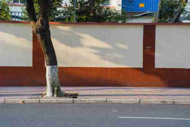 年度榜单《P站》用户画像必读