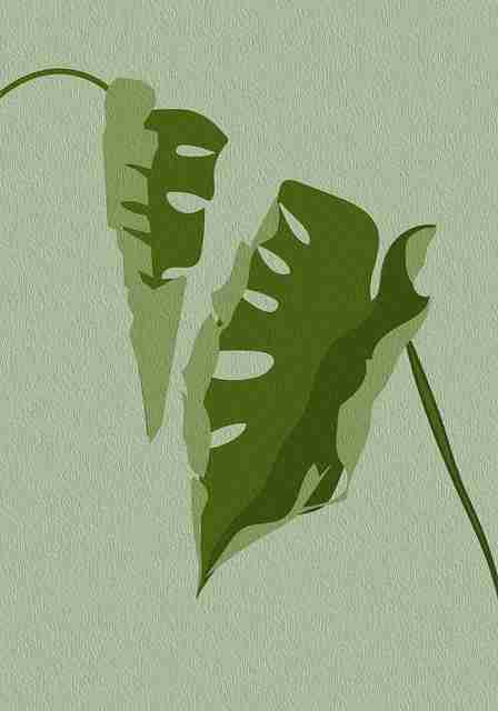 每日大赛在线观看生态地图：产品迭代必读