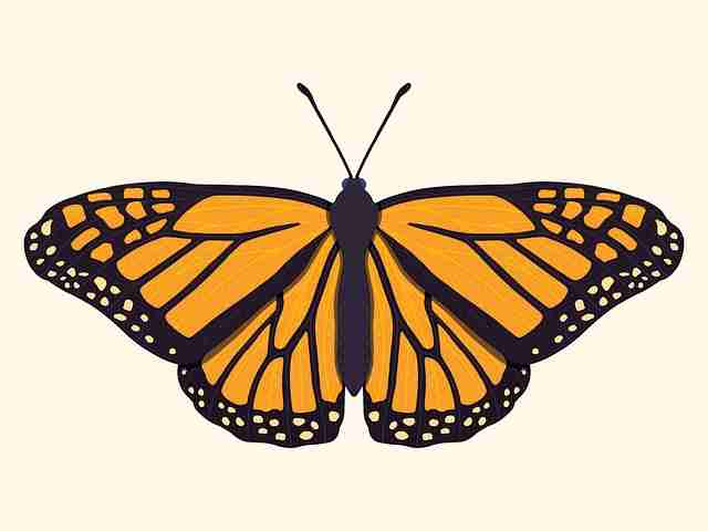 51爆料——隐私争议高手秘籍对比测评