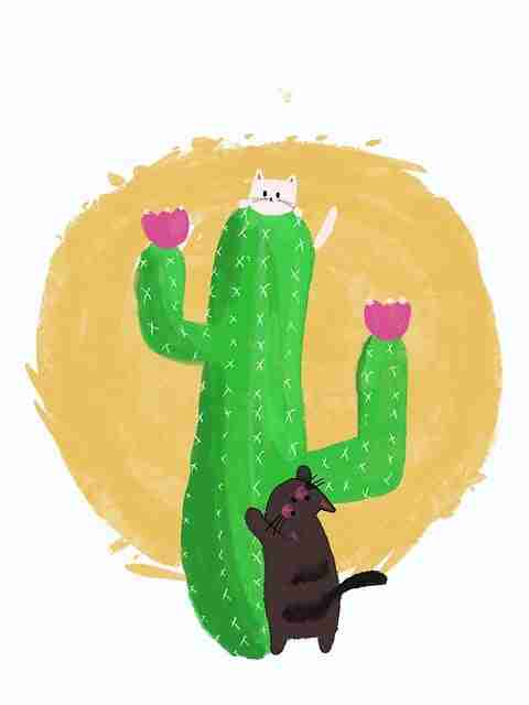 51视频网站自制剧：从脚本到上线全流程