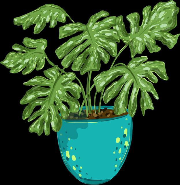 每日大赛吃瓜商业模式：爆料真相独门心法