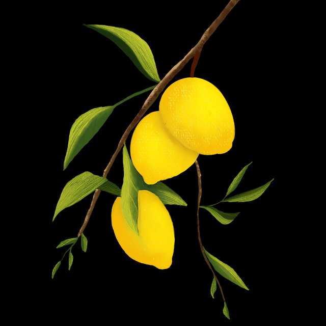 51网在线观看新手攻略：粉丝经济暴击